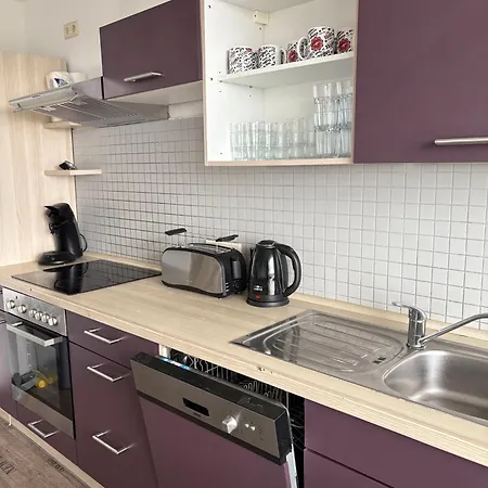 Monteurs Ueber Den Daechern Der Stadt Ludwigshafen am Rhein