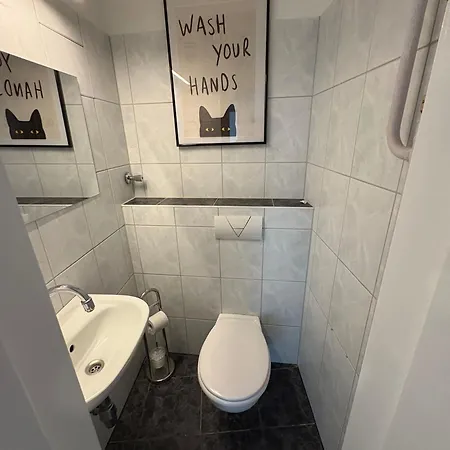 Monteurs Ueber Den Daechern Der Stadt * Ludwigshafen am Rhein