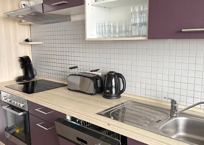 Monteurs über Den Dächern Der Stadt Ludwigshafen am Rhein