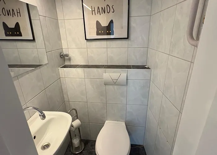 Monteurs über Den Dächern Der Stadt * Ludwigshafen am Rhein