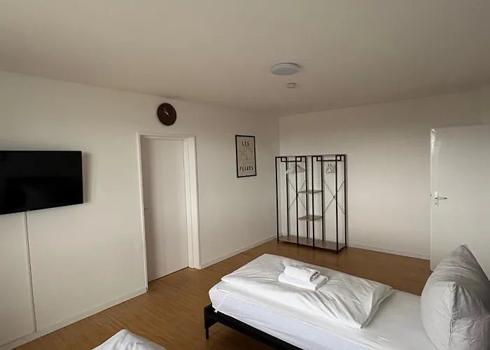 Monteurs über Den Dächern Der Stadt Ludwigshafen am Rhein